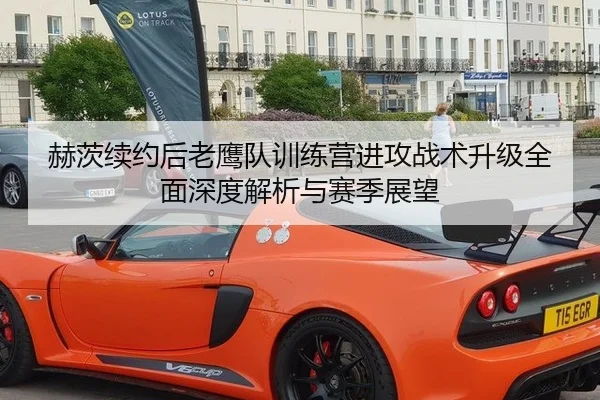 赫茨续约后老鹰队训练营进攻战术升级全面深度解析与赛季展望